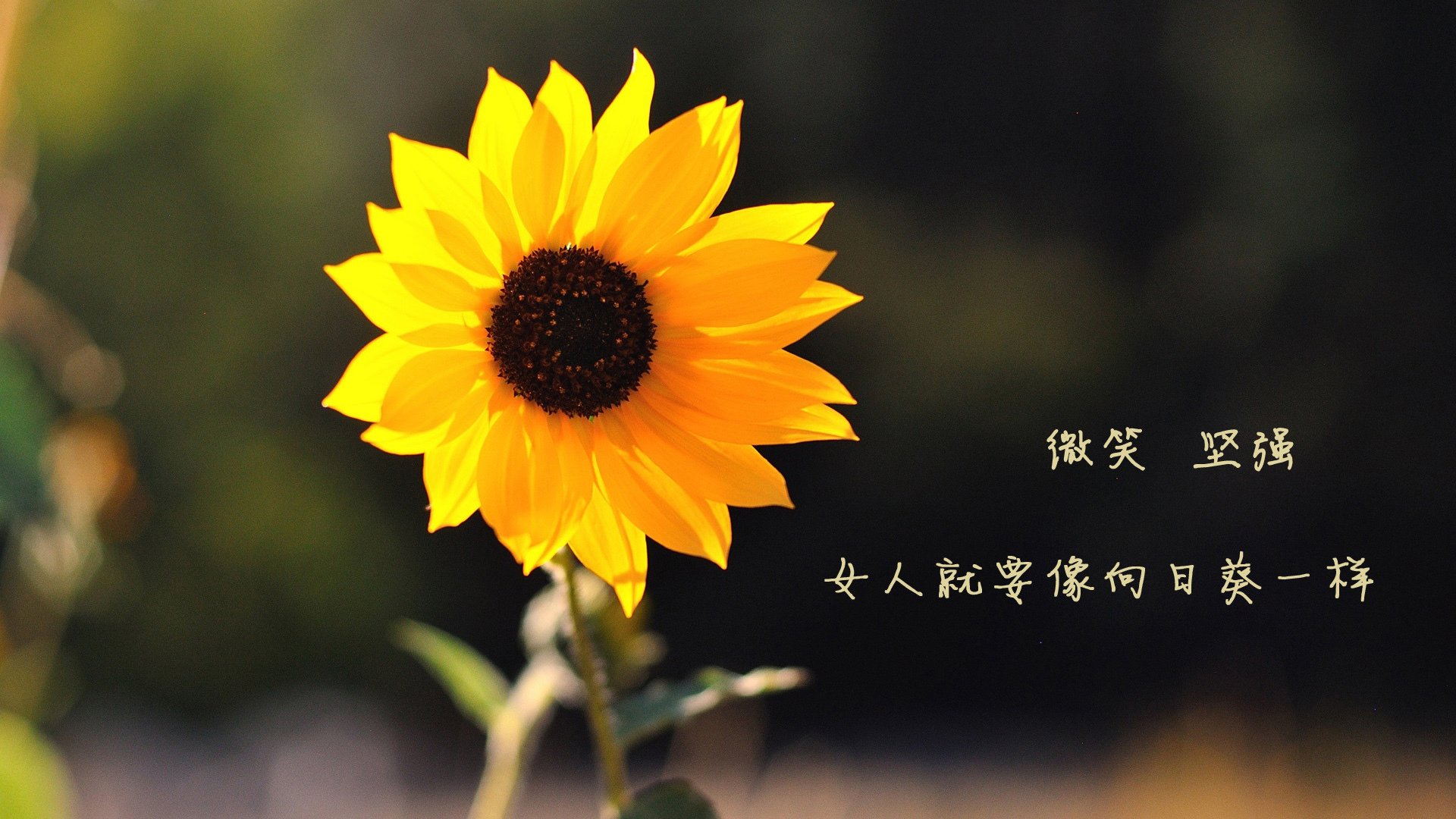 华体会app安装-中国篮球运动员进攻技巧优化策略及训练方法，篮球运动中进攻技术主要有哪三种