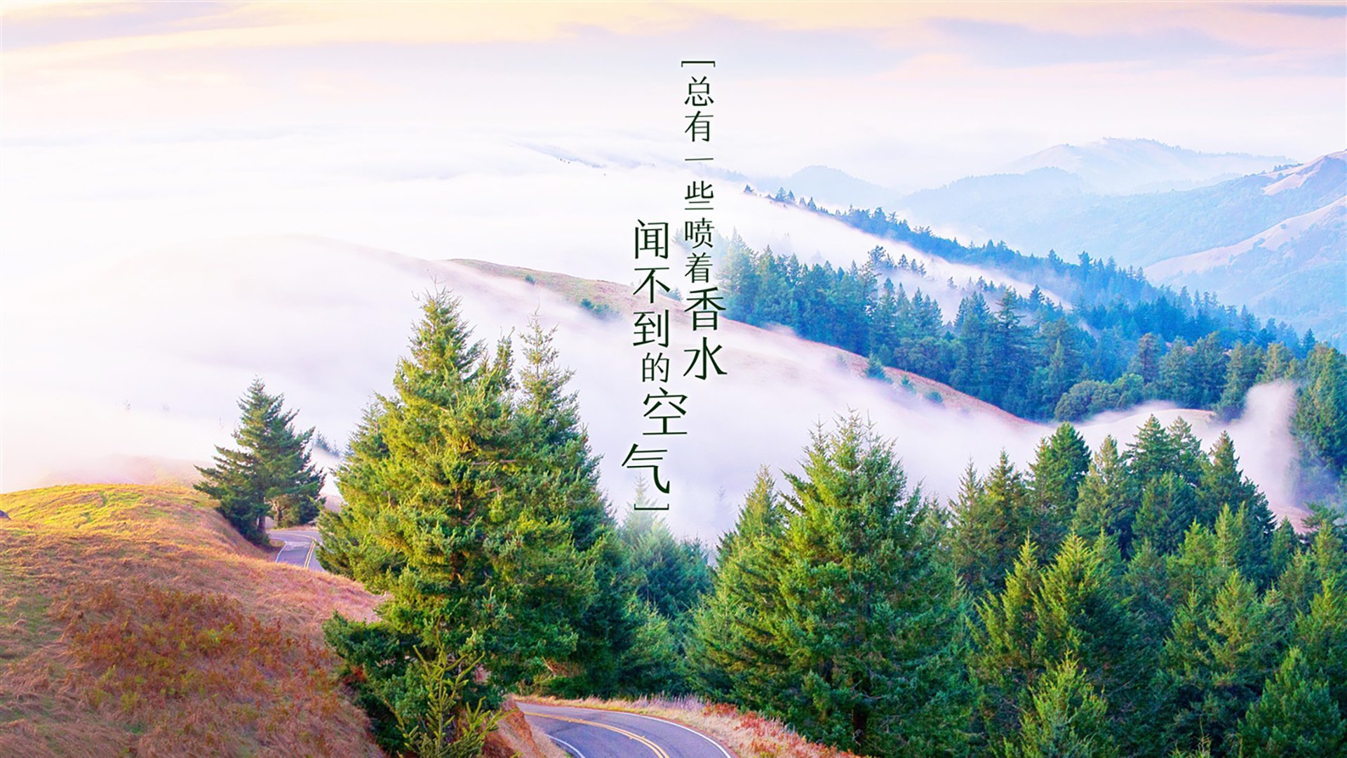 华体会app注册-意甲VAR语义分析模型对语境冲突的自动识别率分析