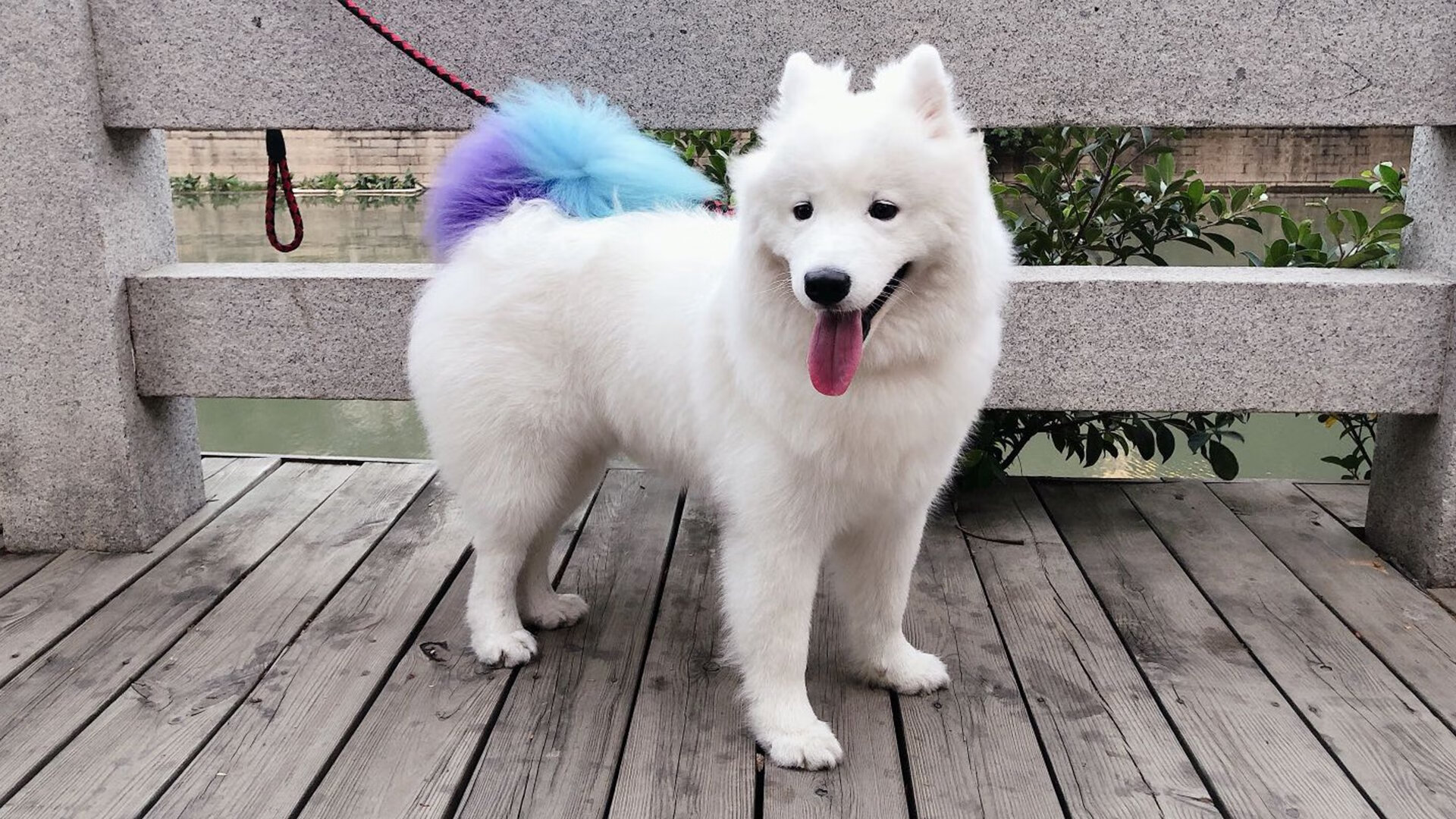 华体会登陆-青少年体育兴趣培养机制与实践路径,青少年体育兴趣培养机制与实践路径怎么写 第4张 华体会登陆-青少年体育兴趣培养机制与实践路径,青少年体育兴趣培养机制与实践路径怎么写 第4张