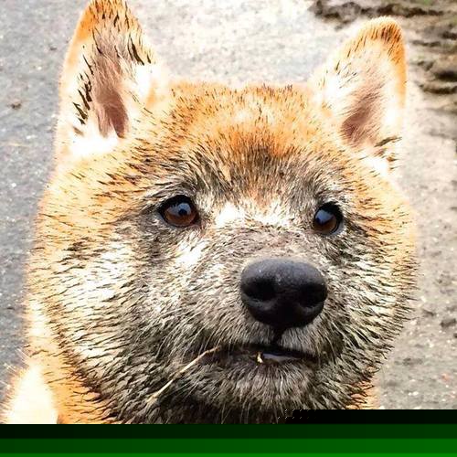 华体会app注册-中国游泳队奥运训练进入节奏控制阶段,中国游泳队奥运比赛结果 第3张 华体会app注册-中国游泳队奥运训练进入节奏控制阶段,中国游泳队奥运比赛结果 第3张