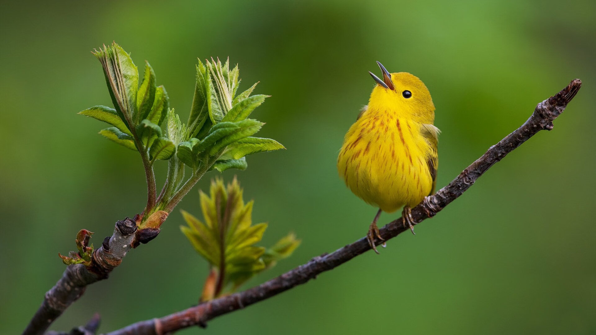华体会app下载-五大联赛关键传球统计是否能客观评估球员创造力，传球排名