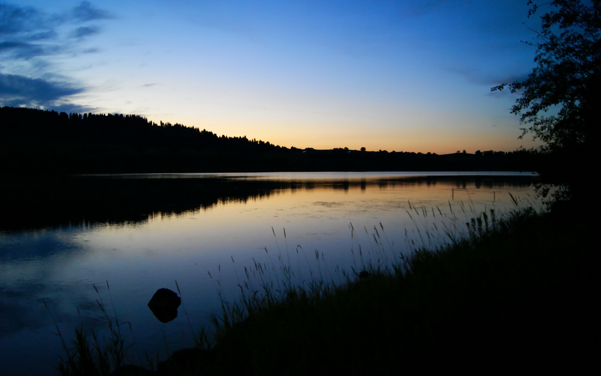 华体会官方网站-体育新闻中心启动体育新媒体人才培养计划，体育新闻媒体有哪些