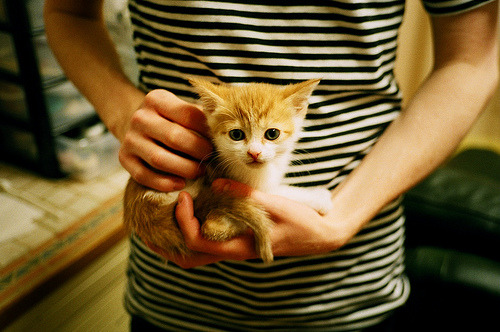 华体会app注册-国际乒联混合团体世界杯：罗马尼亚队的战术执行与调整，罗马尼亚乒乓球实力