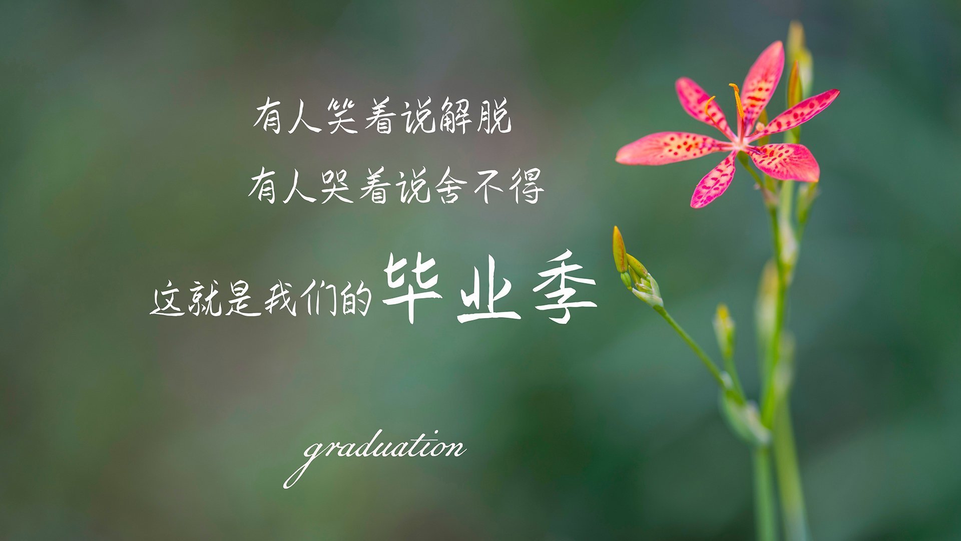 华体会手机网站-奥运备战官方发布最新训练标准,备战奥运会训练计划 第2张 华体会手机网站-奥运备战官方发布最新训练标准,备战奥运会训练计划 第2张