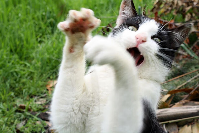 华体会app下载-持球时间最长的球星是否影响节奏，持球多久算犯规