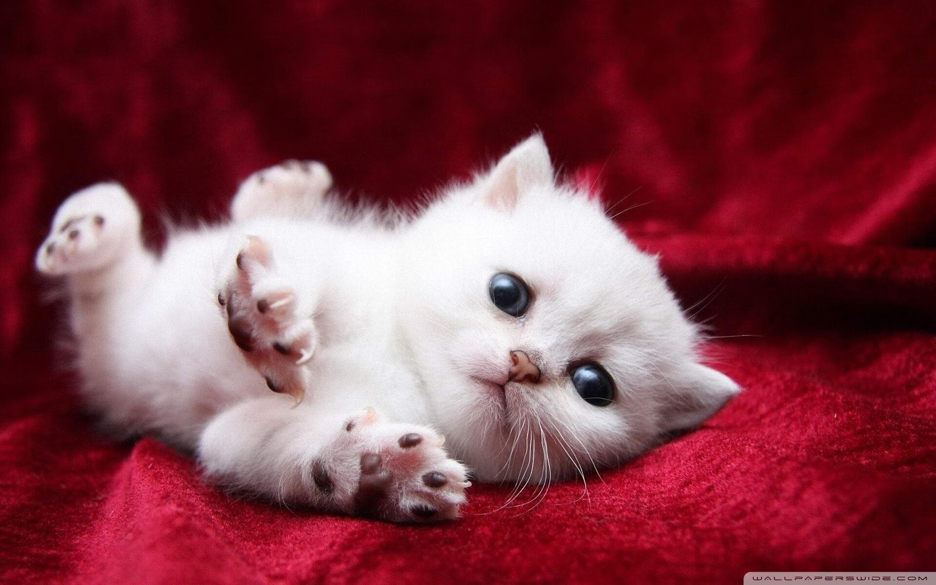 华体会app下载-校园足球活动长期受限于硬件环境落差，校园足球存在的问题及其解决方法