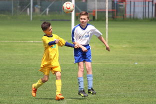 华体会在线登录-美国乒乓队未来目标：如何提高整体竞技水平，冲击世界大赛，美国乒乓球运动