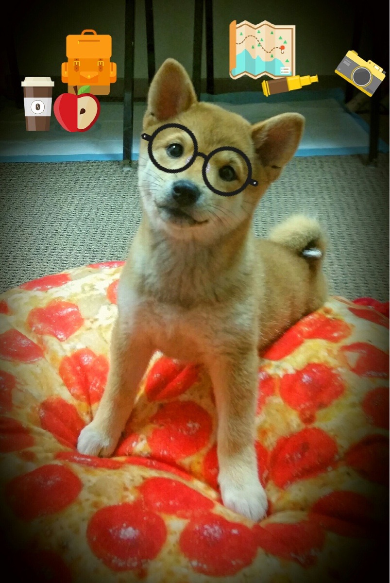 华体会官网-职业联赛内部调度权责划分模糊 第3张 华体会官网-职业联赛内部调度权责划分模糊 第3张