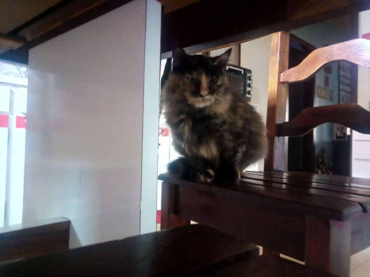 华体会app安装-节奏控制是否是老将球队的战术优势之一，节奏掌控能力