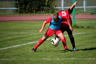 华体会在线下载-CBA俱乐部深化教练团队专业化建设提升训练质量，cba训练计划