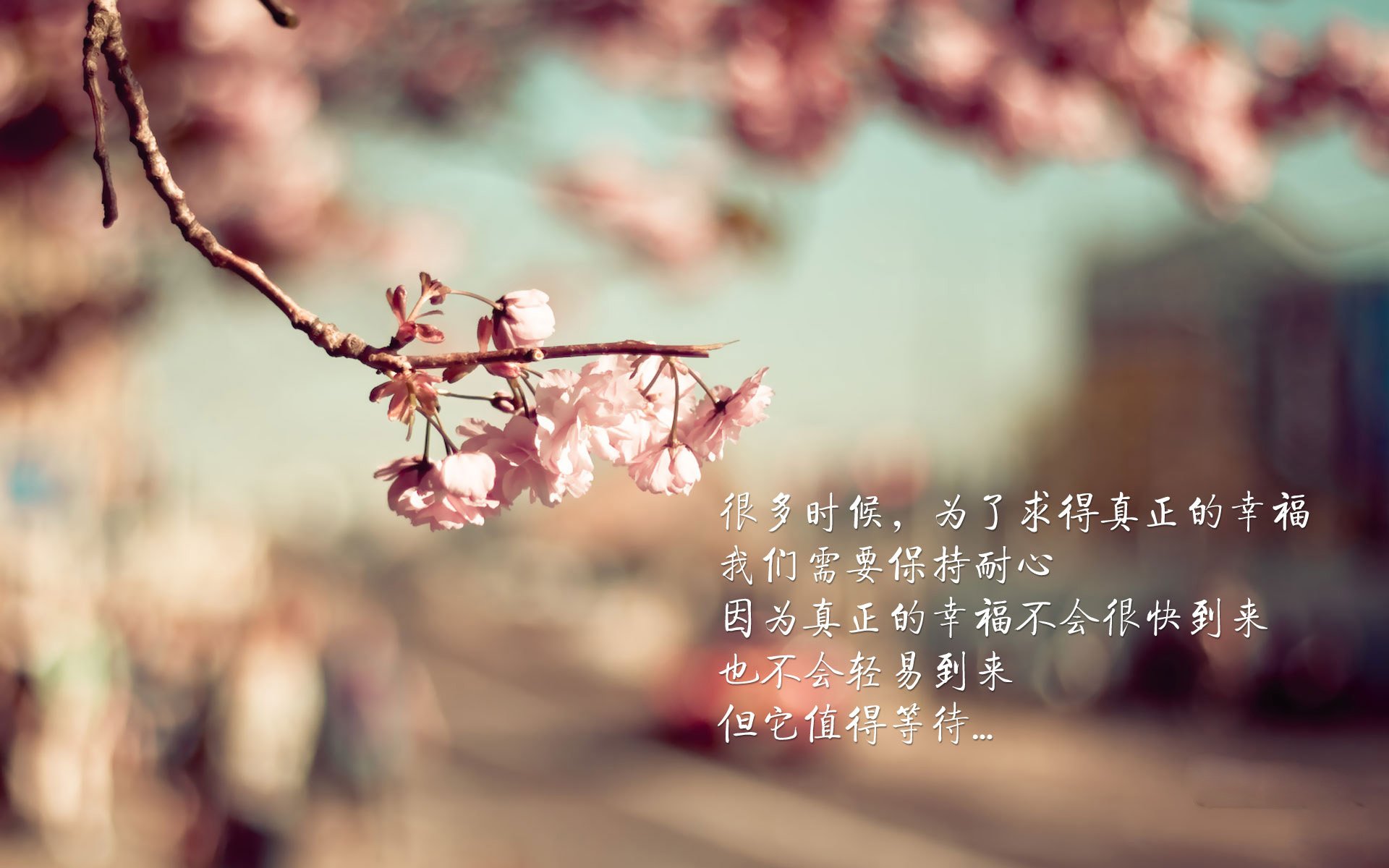 华体会app安装-世界杯超级对决：精彩片段不断刷屏！，世界杯精彩瞬间视频