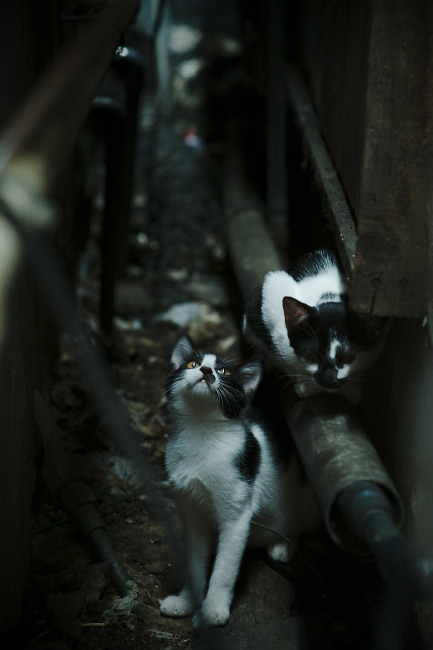 -中乙联赛执行外援注册限制鼓励本土球员成长，中乙参赛球队