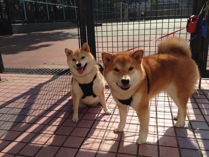 华体会app-体育赛事安保措施加强，如何加强体育赛事活动的安全监管