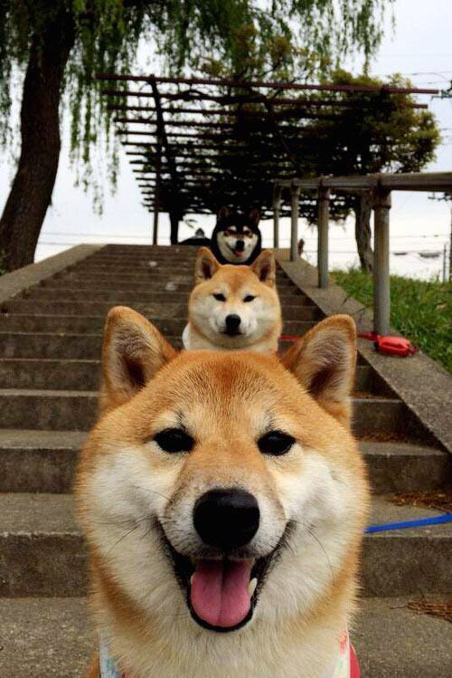 华体会在线下载-卡普尔通过强力冲击，打破对手防线，创造进攻机会，卡普尔是什么种姓