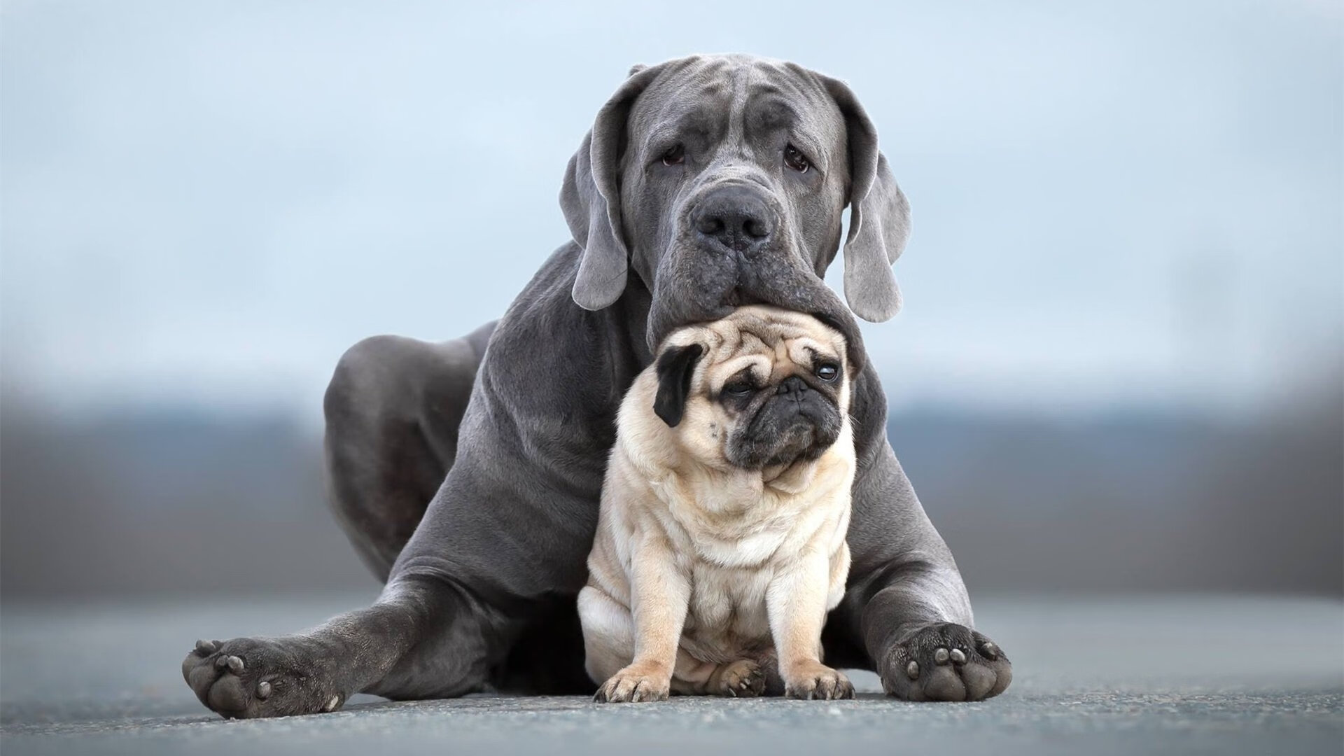 华体会官网入口-后程冲刺爆发力明显增强，后程怎么练