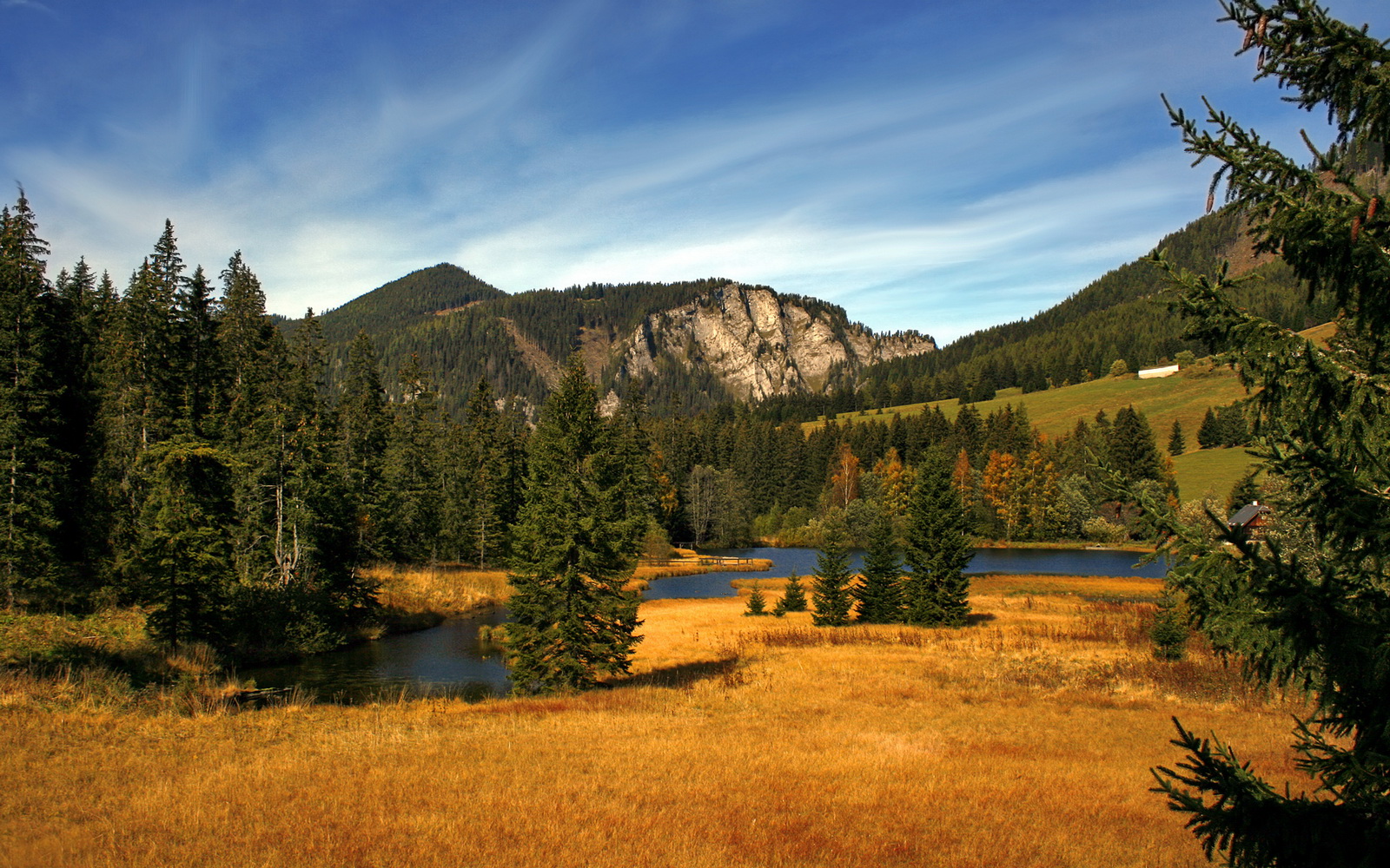 华体会登录入口-多地推动篮球进校园活动普及篮球文化扎根基层，校园篮球文化建设