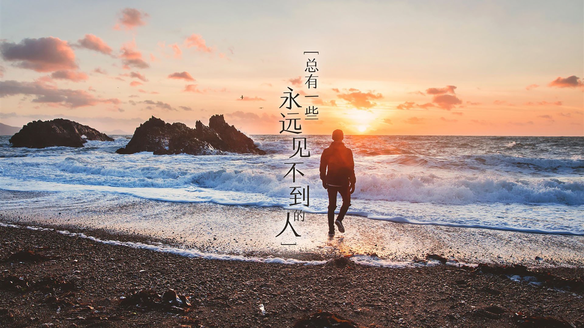 华体会手机在线-女子篮球发展联盟设立推动联赛规范化建设，女子篮球组织