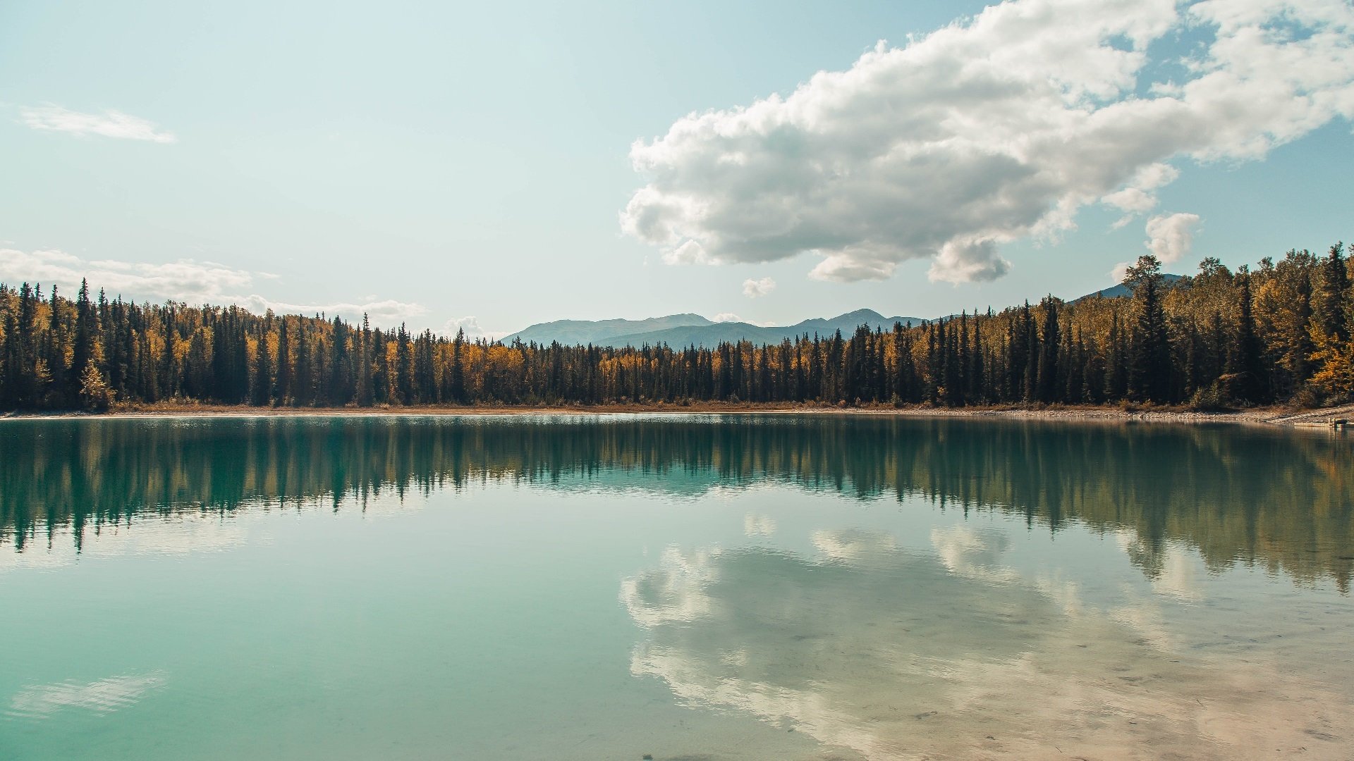 华体会平台-自由泳预赛韩国多人晋级，2020自由泳比赛