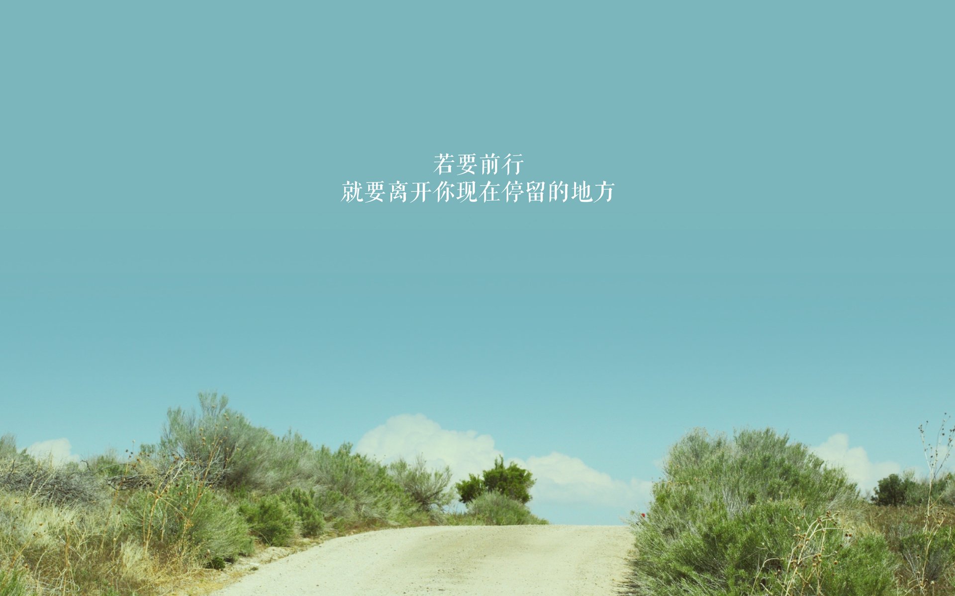 华体会平台-跳水环节突尼斯选手稳定入水，世界跳水比赛中最惨的入水