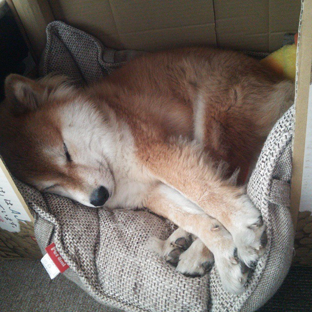 华体会app登入-CBA裁判培训全面升级提升执法水平,cba裁判怎么考取