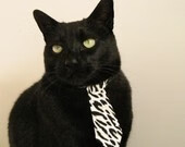 -中国篮球女篮后备力量梯队培养与投入回报率评估,中国女篮得分后卫