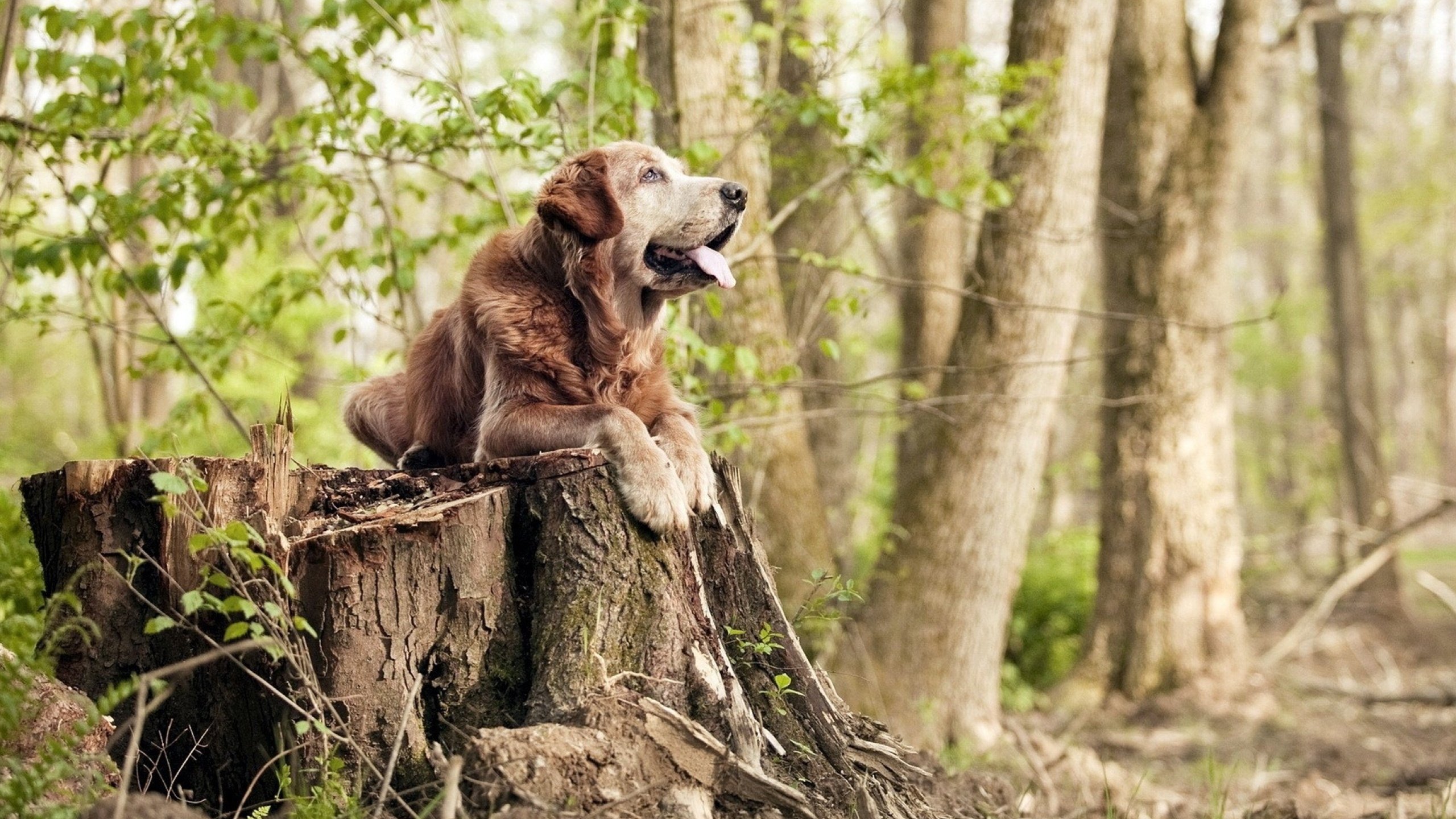 华体会官方网站-中国足球国家队加快备战国际大赛步伐，国足 备战