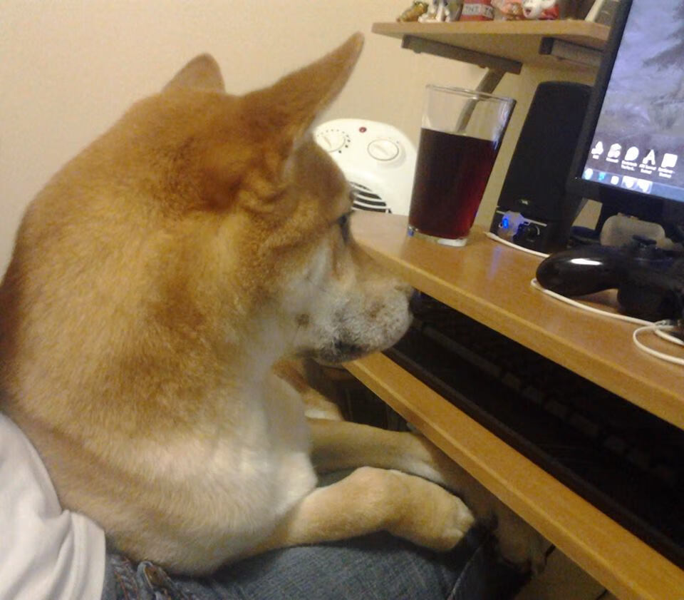 华体会登录-中国足球联赛观众观赛习惯与消费行为研究，足球观众席观众图片