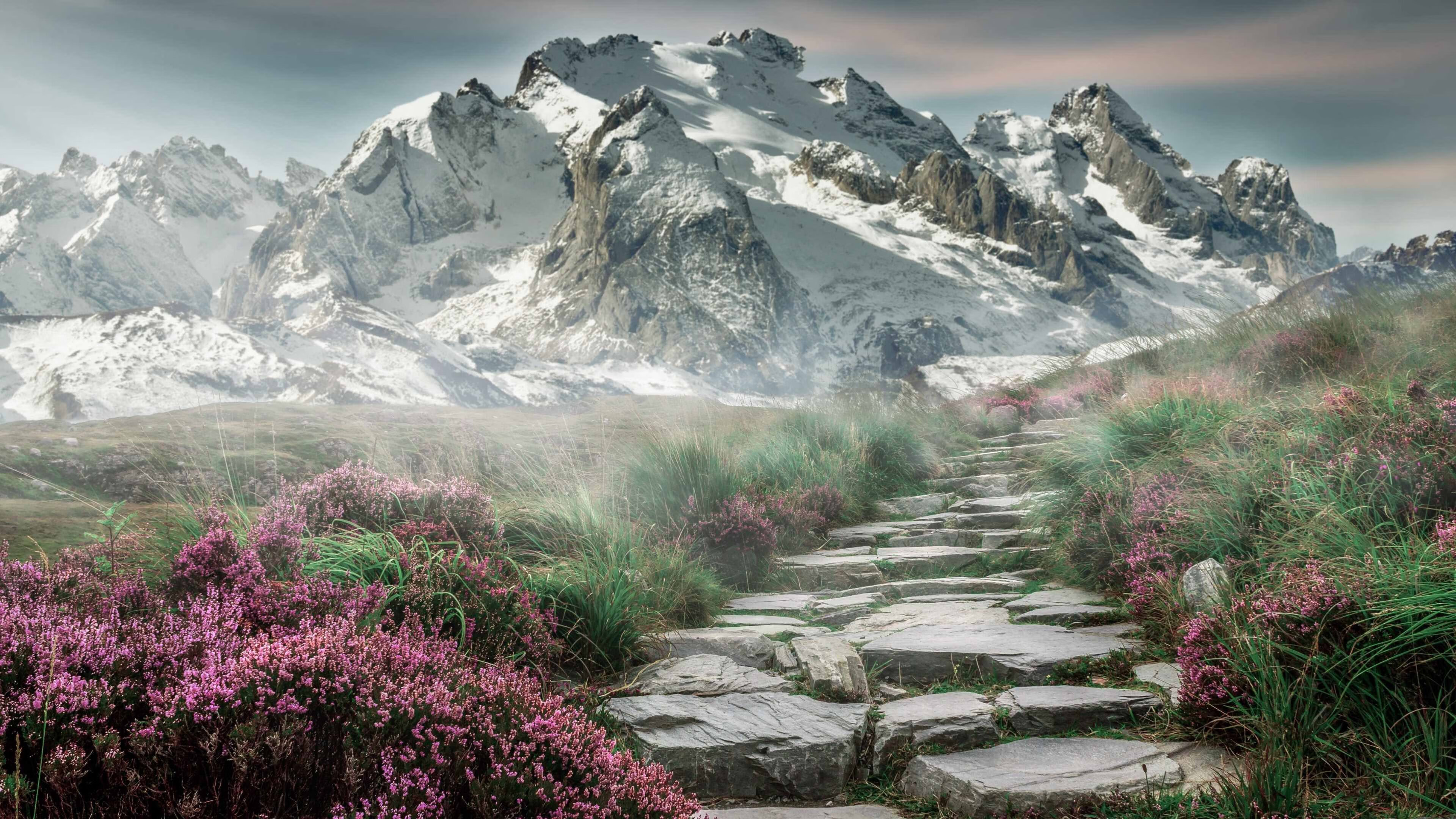 华体会登录-中国足球退役球员加入教练队伍现象剖析，中国足球运动员退役后干什么